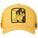 Capslab cap Looney Tunes Daffy Duck M CL-LOO4-1-DUF1 (One Size)