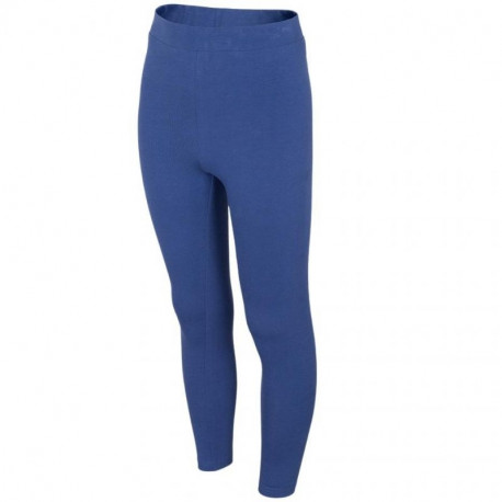 Leggings 4F Jr HJL22 JLEG001 33S (146 cm)