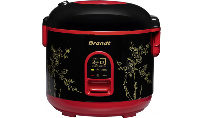 Cooker Brandt SUP515