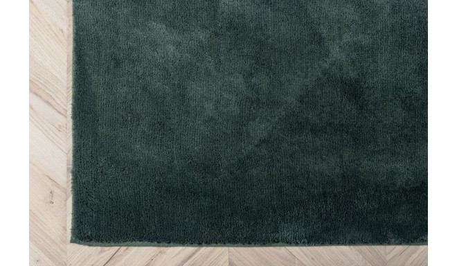 Vaip Undra 200x300 cm, roheline