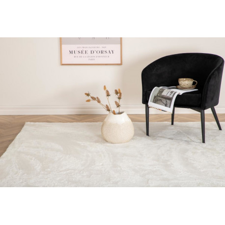 Vaip Blanca 200x300 cm, valge