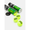 Tennis balls Dunlop FORT ALL COURT 3-tin