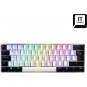 IT layout - Sharkoon SKILLER SGK50 S4, gaming keyboard (white/black, Kailh Red)