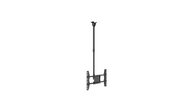 HAGOR PLD Large Single, ceiling mount (black)