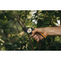 Fiskars Solid L anvil secateurs P361 (orange/black)