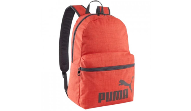 Puma Phase III Backpack 90118 02