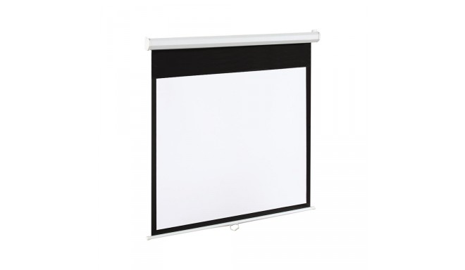 ART Display Electric EM-150 4:3 150'' 305x229cm matte white with remote control
