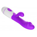 Erolab Dodger G-spot & Clitoral Massager Purple (ZYCD01p)