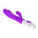 Erolab Dodger G-spot & Clitoral Massager Purple (ZYCD01p)