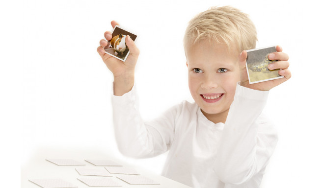 Tactic lauamäng Memo Loomalapsed