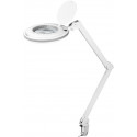 LED luuplamp, reguleeritava valgusega 80-730lm, 9W, valge