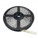 LED Lenta (5050/60 led/m; 14.4W/m; 720 lm/m; 