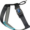 Dog Harness Company of Animals CarSafe Black XS