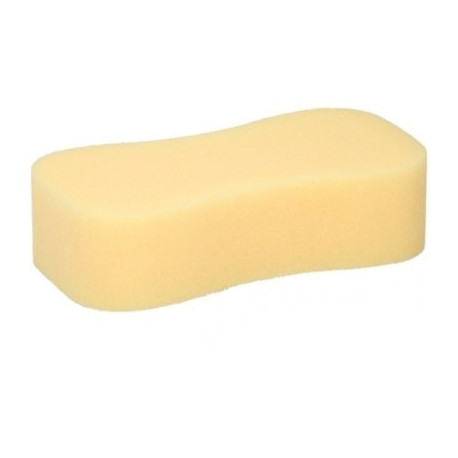 Autopesukäsn Jumbo 23*11*6cm