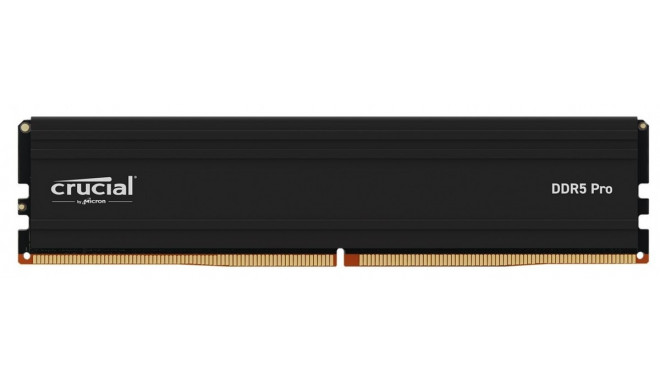 Crucial RAM DDR5 Pro 24GB/5600 (1x24GB) CL46 (24Gbit)