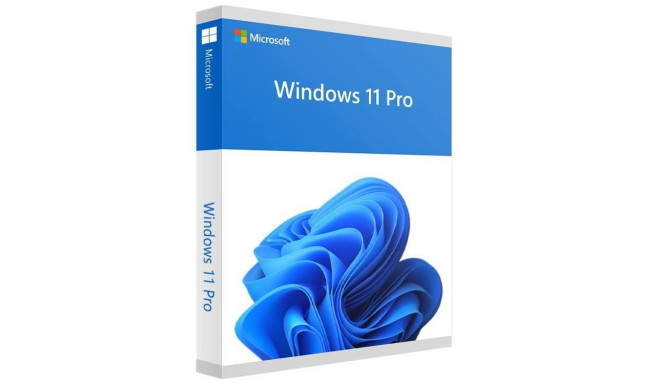 Software|MICROSOFT|Win Pro FPP 11 64-bit Eng Intl USB|Win Pro|Retail|HAV-00163