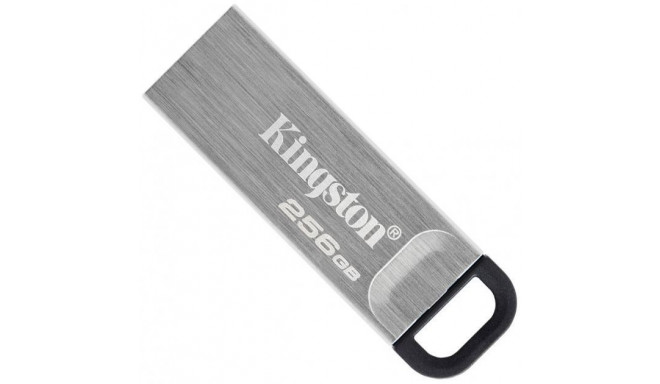 Kingston mälupulk 256GB USB 3.2 (DTKN/256GB)