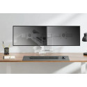 MONITOR ACC DESK MOUNT 17-32"/DS75-450WH2 NEOMOUNTS