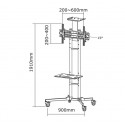 TV SET ACC FLOOR STAND BLACK/32-55" PLASMA-M1700E NEOMOUNTS