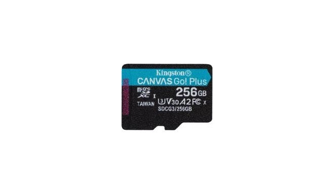 MEMORY MICRO SDXC 256GB UHS-I/SDCG3/256GBSP KINGSTON