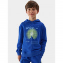 4F Jr sweatshirt 4FJAW23TSWSM632-36S (164)