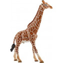 Schleich mängufiguur Giraffe Bull (14749)