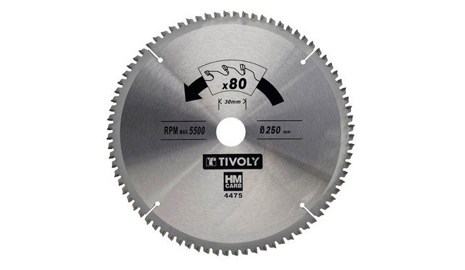 Circular saw blade Tivoly 250x30mm, z80, 3°, for hard wood