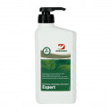 Hand cleansing paste Dreumex Expert 1l., with pump