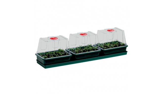 Kasvulava Three Top Windowsill Propagator