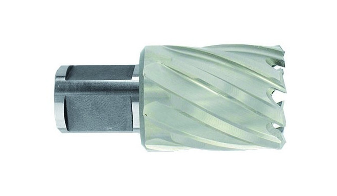 HSS südamikpuur Tivoly Ø21X60X30 mm, lühike seeria, Weldon vars Ø19 mm. Hele, katmata