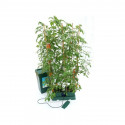 Autopot - Kit Autopot 2 x 8,5L pots