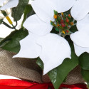 Winteria Poinsettia in pot 33 cm white