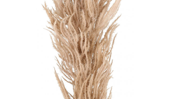 4Living Pampas grass brown 82 cm