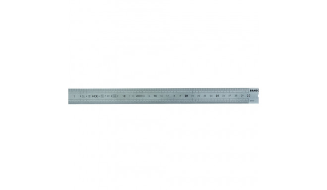 Joonlaud 600x30mm roostevaba teras