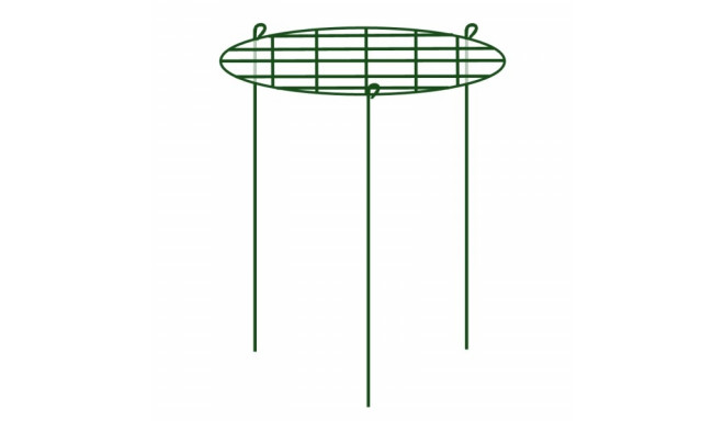 Taimede (pojengide) ringtugi 50cm läbimõõt x 75cm kõrgus