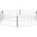 Growth transparent module for ERGO raised bed