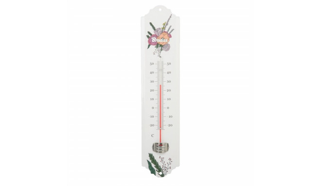 WHITE LINE external thermometer - metal 30cm