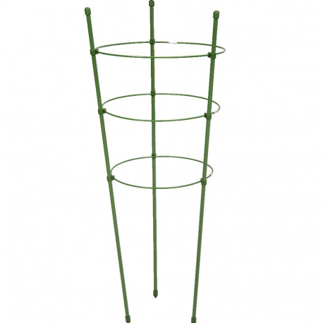 Augalų stovas su žiedais Bradas, 60cm