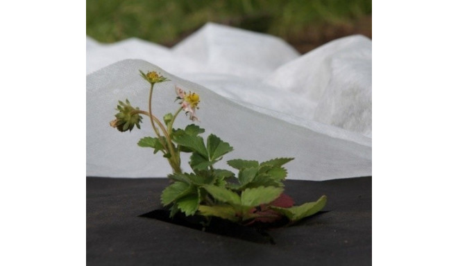 Katteloor - kevad, 17g/m² 1,6 x 5m