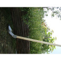 Swift large