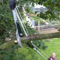 Geared Tree Pruner Darlac S/T