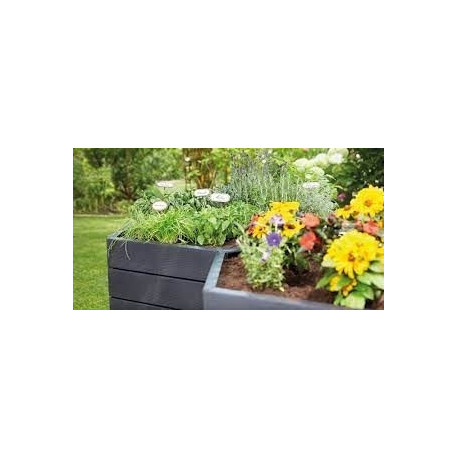 Peenar - peenrakast ERGO XL, puiduimitatsioon