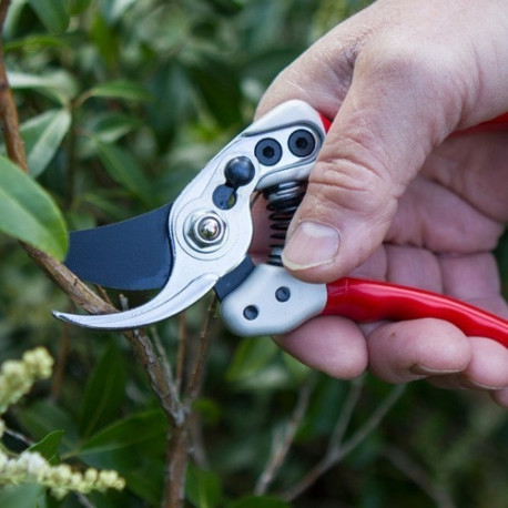 Expert Small Bypass Pruner Darlac