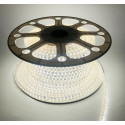 LED riba Tamoline, 50m