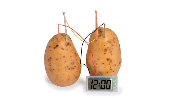 Potato Clock Experiment 