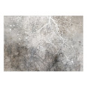 Fototapeet - Clear Branching - 200x140