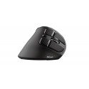 MOUSE USB OPTICAL ERGONOMIC/VOXX 23731 TRUST
