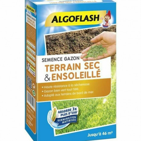 Seeds Algoflash SEMSOL1