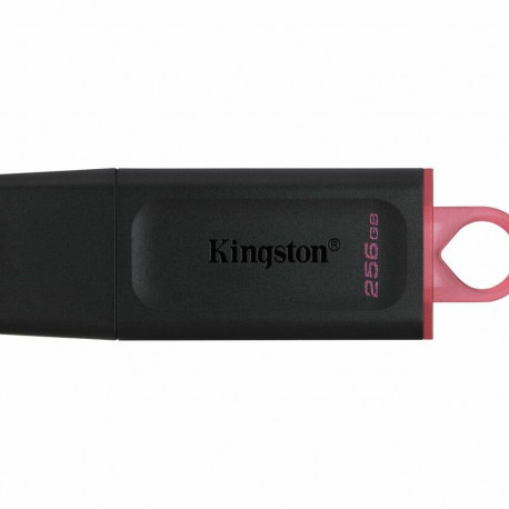 USB-pulk Kingston DTX/256GB Võtmekett Must 256 GB