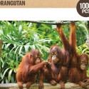 Pusle Colorbaby Orangutan 6 Ühikut 68 x 50 x 0,1 cm